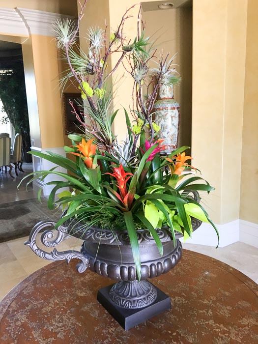 Flowers for Offices & Homes Custom potted Color bowls – San Diego area